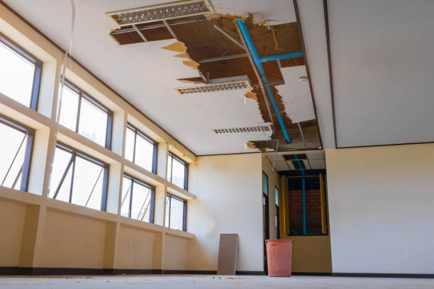 Best Water damage restoration process  in Wareham Center, MA