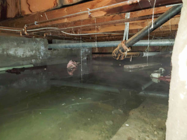 Trusted MA Water damage restoration Experts