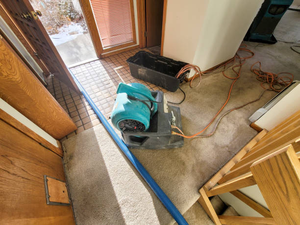 Best 24/7 water damage repair  in Wareham Center, MA