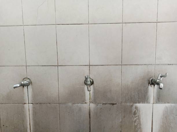 Best Ceiling water damage repair  in Wareham Center, MA