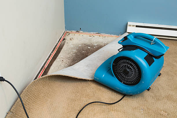 Best Flood restoration services  in Wareham Center, MA